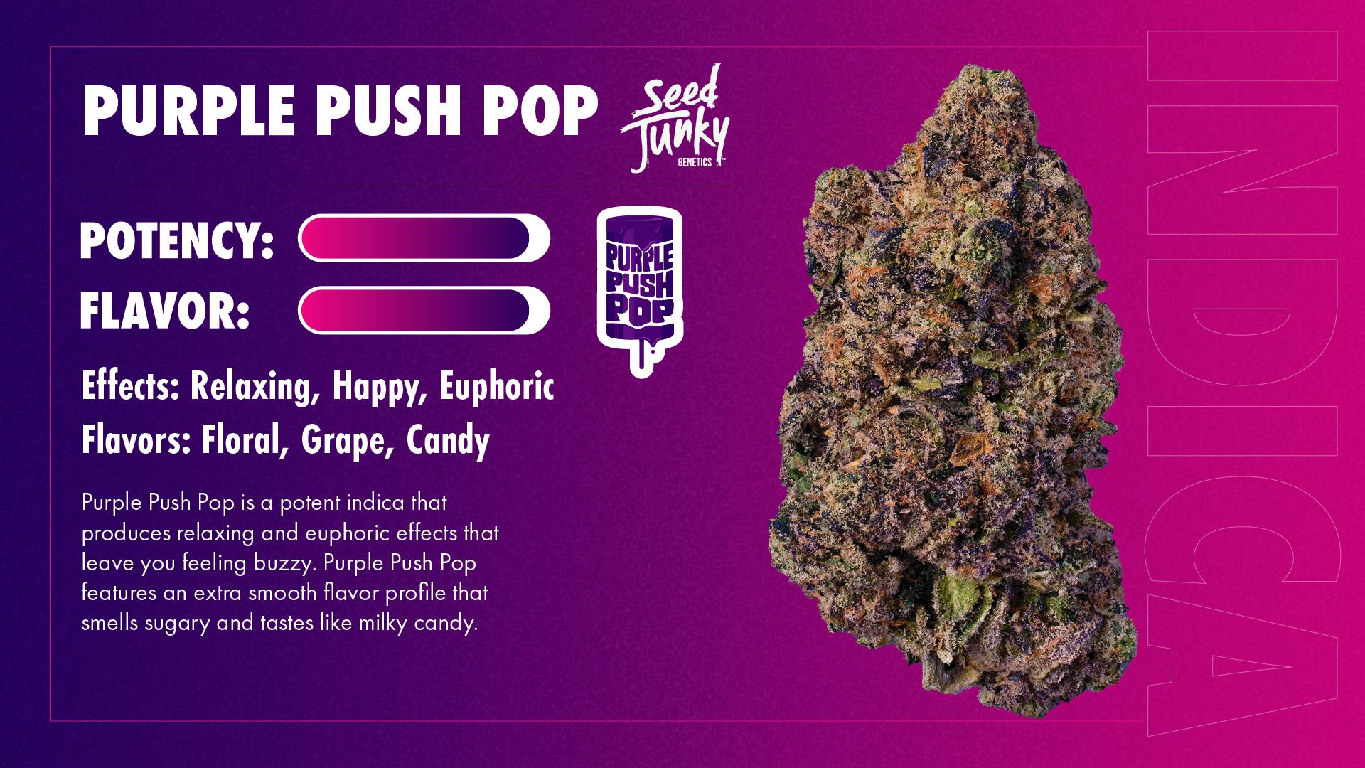 Seed Junky - Seed Junky | Purple Push Pop | Smalls | 14g - 1