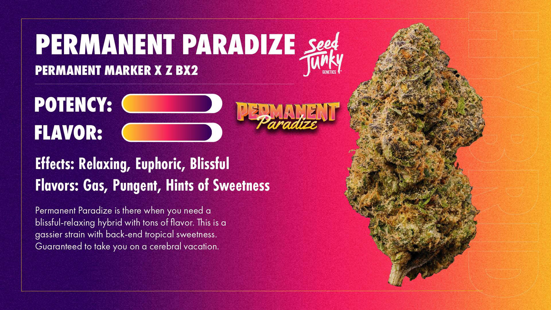 Seed Junky - Seed Junky | Permanent Paradize | Infused Joints | 0.6g each | 5pk - 1