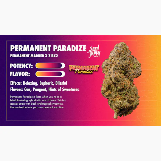Seed Junky - Seed Junky | Permanent Paradize | Infused Joints | 0.6g each | 5pk - 1