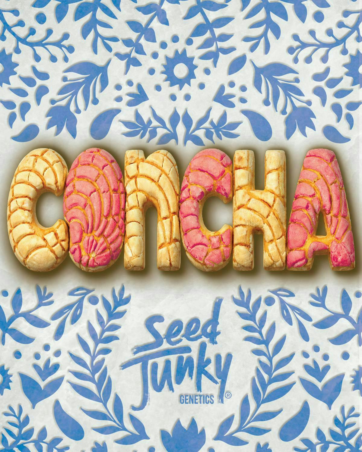 Seed Junky - Seed Junky | Concha | Big Buds - 1