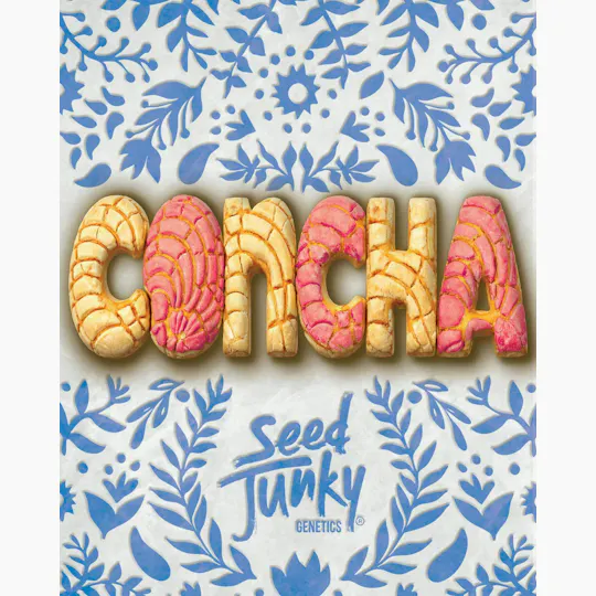 Seed Junky - Seed Junky | Concha | Big Buds - 1