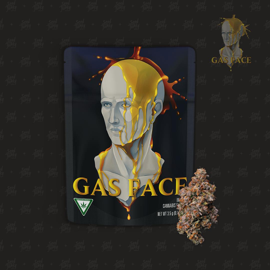 Seed Junky - Seed Junky | Gas Face | Big Buds | 3.5g - 1