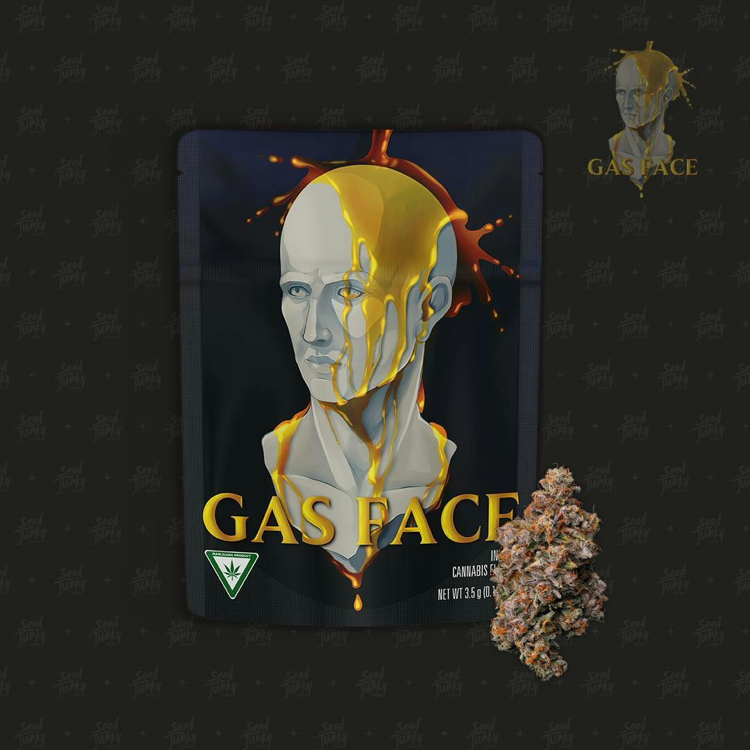 Seed Junky - Seed Junky | Gas Face | Big Buds | 3.5g - 1
