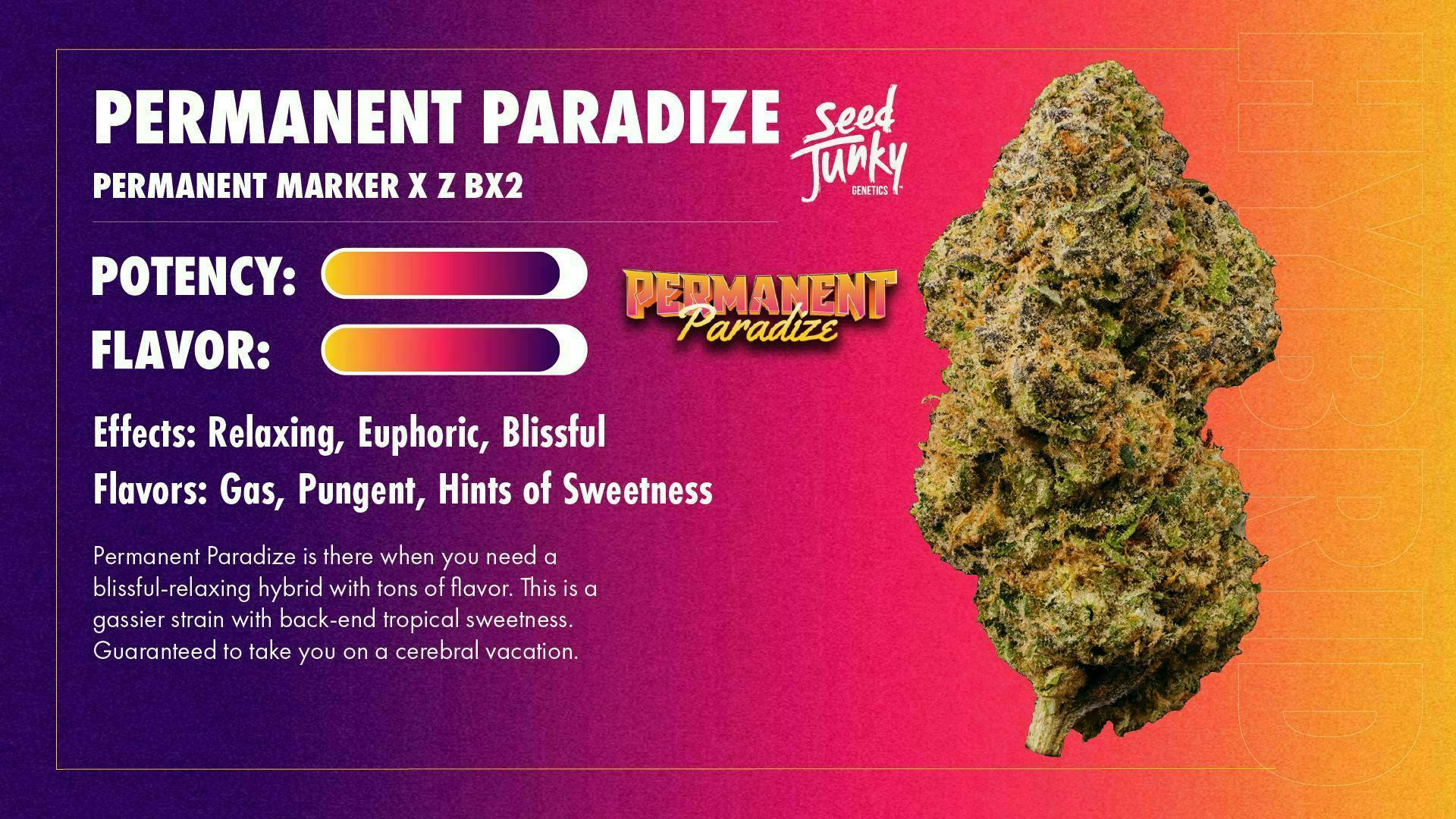 Seed Junky - Permanent Paradize | Infused Joint | 1.5g - 1