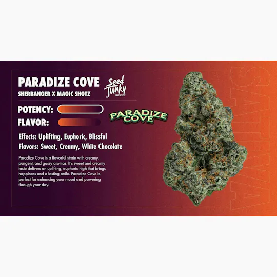 Seed Junky - Paradize Cove | Infused Joint | 1.5g - 1