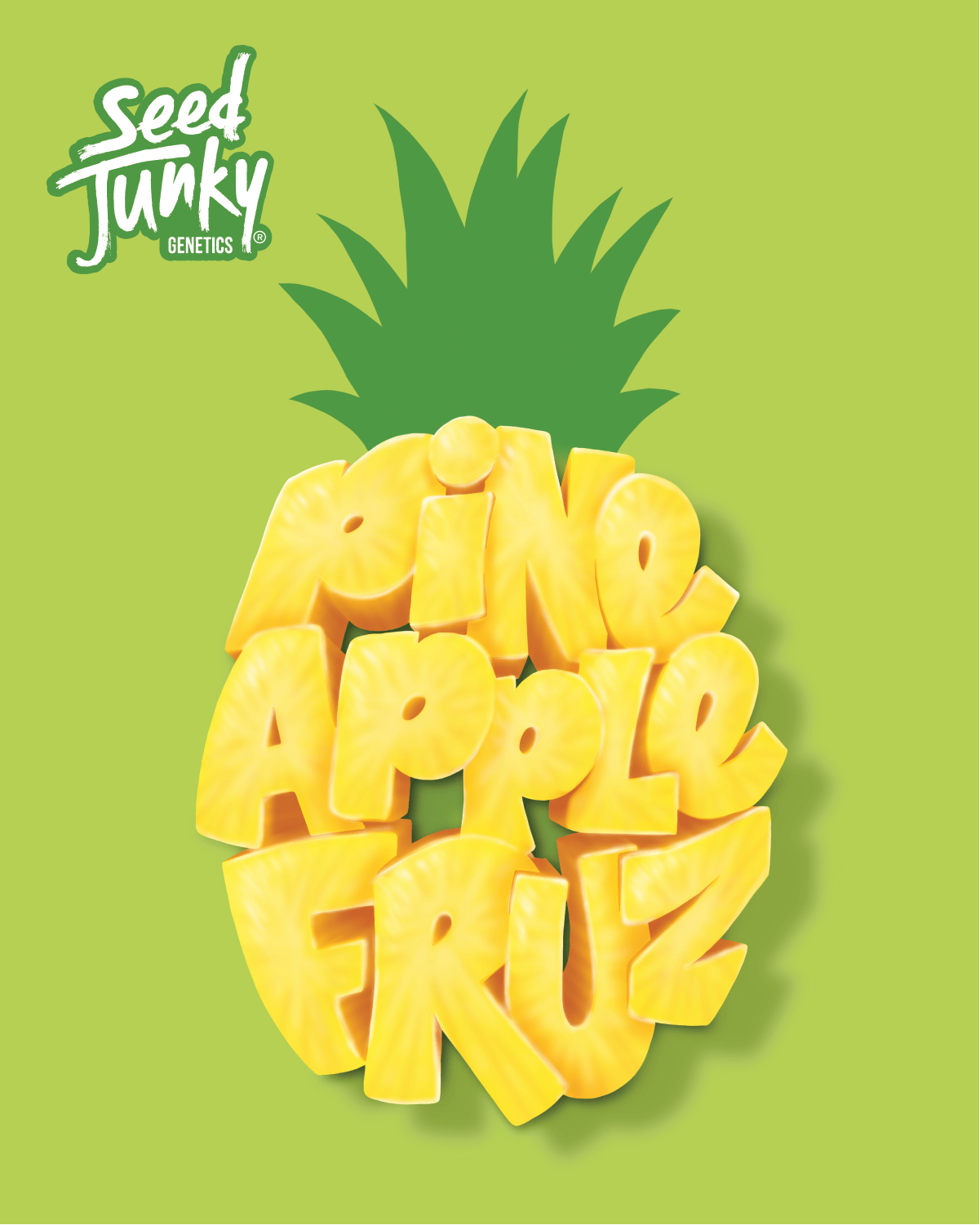 Seed Junky - Seed Junky | Pineapple Fruz | Big Buds - 1