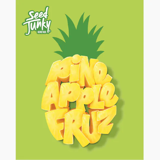 Seed Junky - Seed Junky | Pineapple Fruz | Big Buds - 1