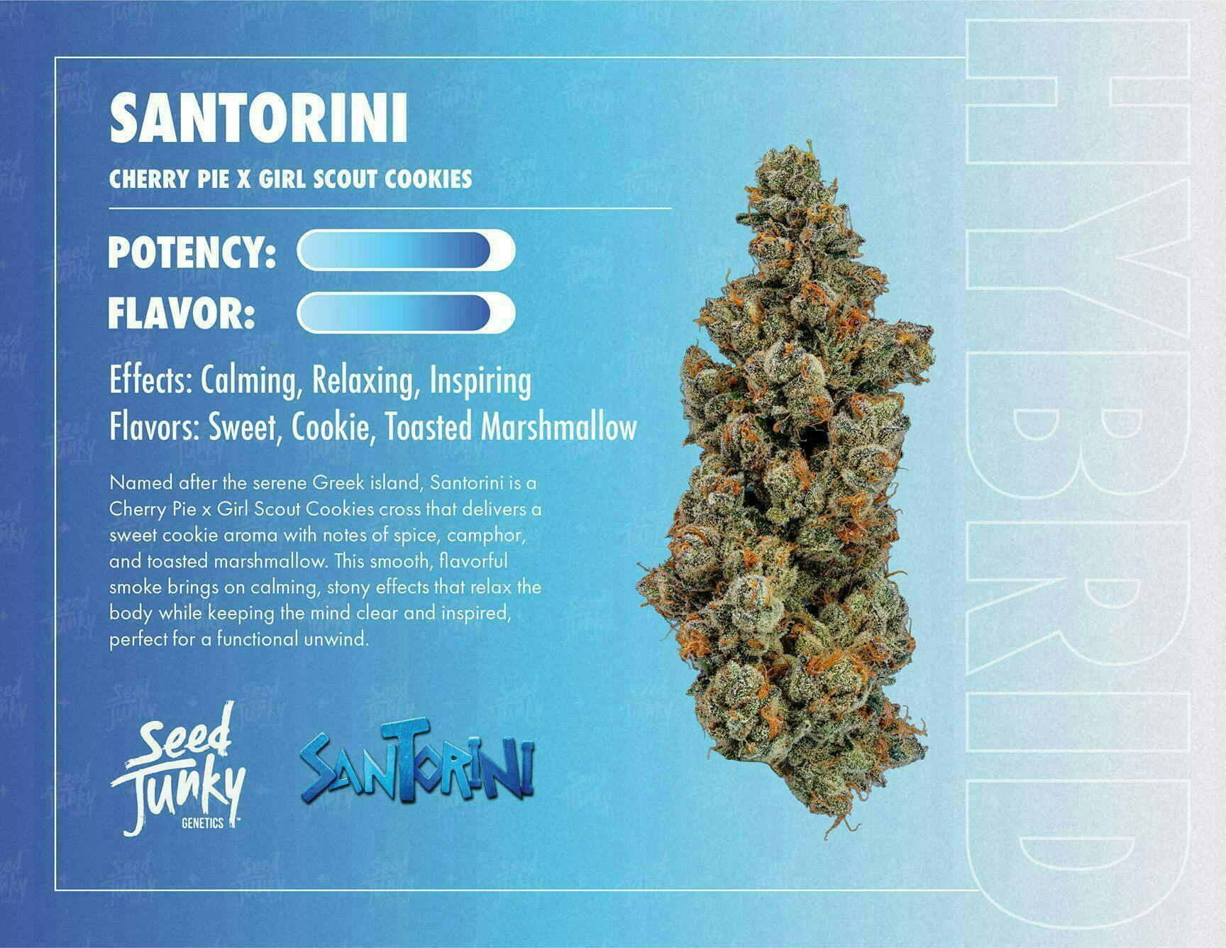 Seed Junky - Seed Junky | Santorini | Big Buds | 3.5g - 1