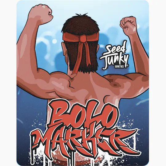 Seed Junky - Seed Junky | Bolo Marker | Big Buds - 1