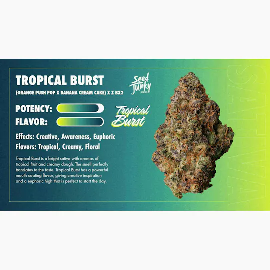 Seed Junky - Tropical Burst | Infused Blunt | 2g - 1