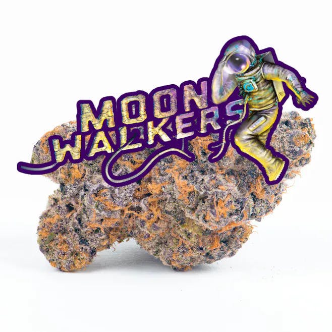 Cookies - Cookies | Moonwalkers | Big Buds | 14g - 1