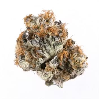 Supernaturals New York - Supernaturals | Blueberry | Minis | 0.25g each | 10pk - 1
