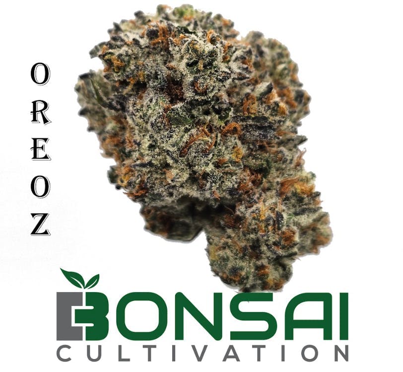 Bonsai Cultivation - Bonsai Cultivation | Oreoz | Flower - 1