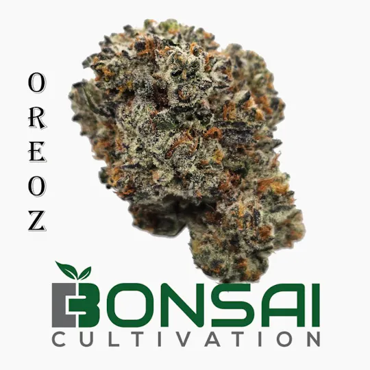 Bonsai Cultivation - Bonsai Cultivation | Oreoz | Flower - 1