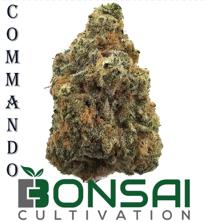 Bonsai Cultivation - Bonsai Cultivation | Commando | Flower - 1