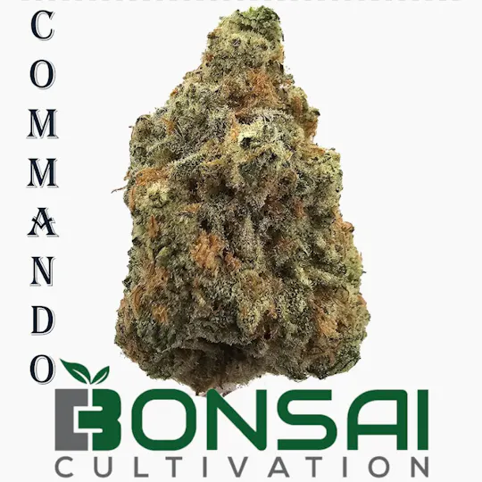 Bonsai Cultivation - Bonsai Cultivation | Commando | Flower - 1