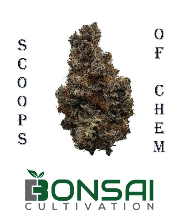 Bonsai Cultivation - Bonsai Cultivation | Scoops of Chem | Flower - 1