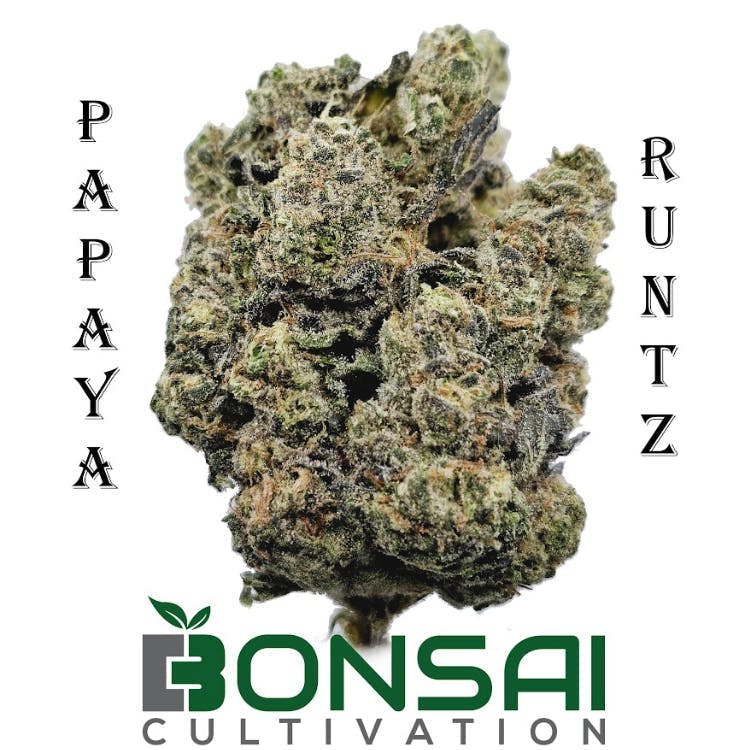 Bonsai Cultivation - Bonsai Cultivation | Papaya Runtz | Flower - 1