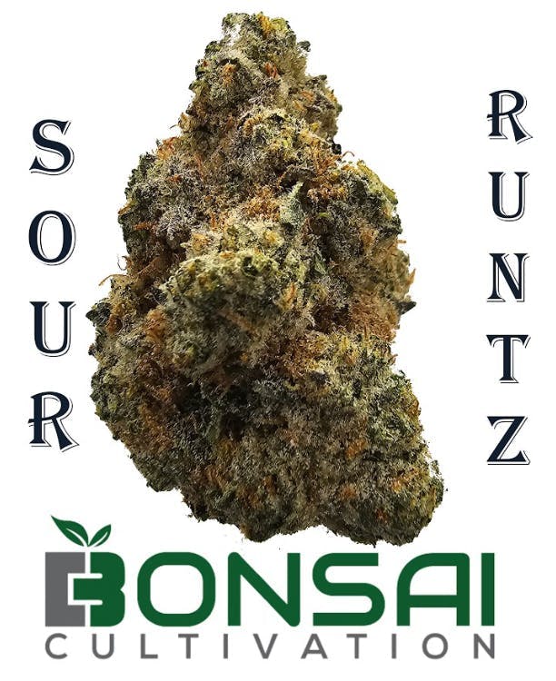 Bonsai Cultivation - Bonsai Cultivation | Sour Runtz | Flower - 1
