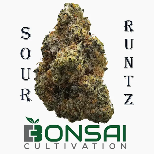 Bonsai Cultivation - Bonsai Cultivation | Sour Runtz | Flower - 1
