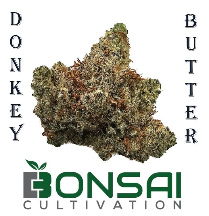 Bonsai Cultivation - Bonsai Cultivation | Donkey Butter | Flower - 1