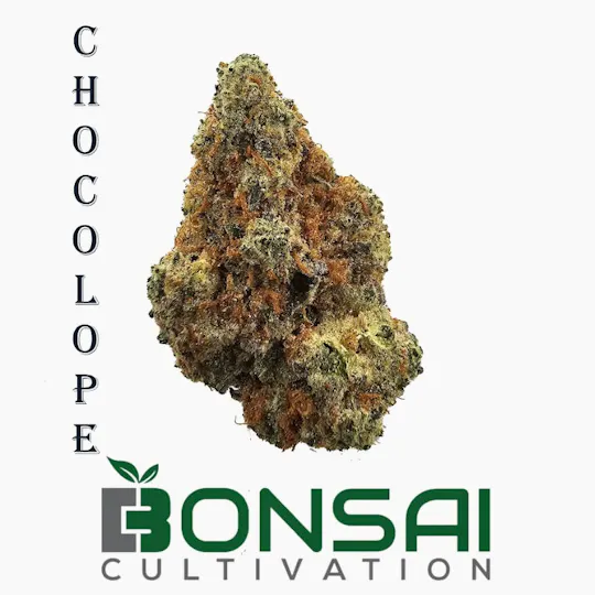 Bonsai Cultivation - Bonsai Cultivation | Chocolope | Flower - 1