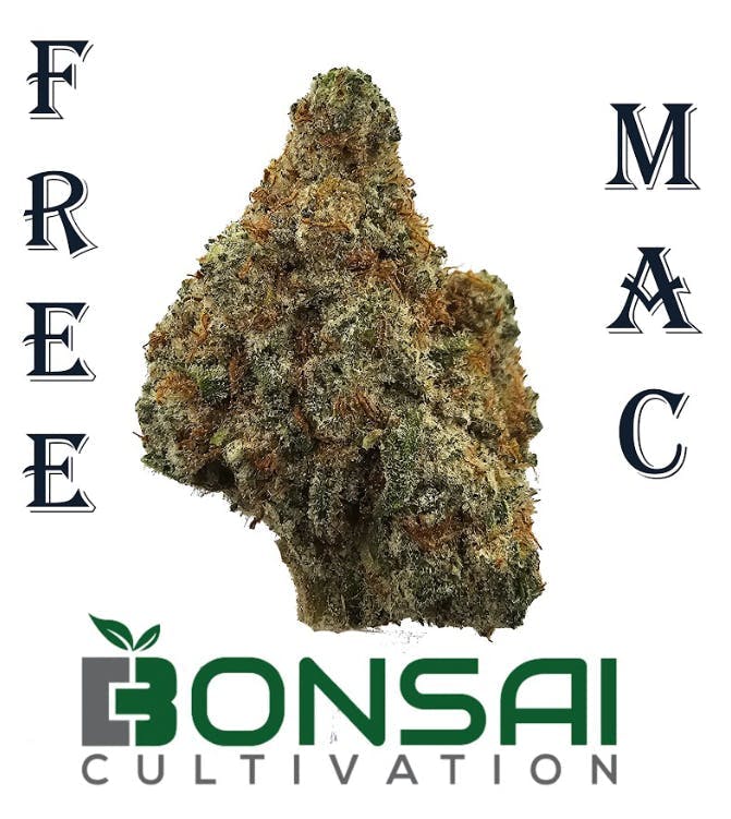 Bonsai Cultivation - Bonsai Cultivation | Free Mac | Flower - 1