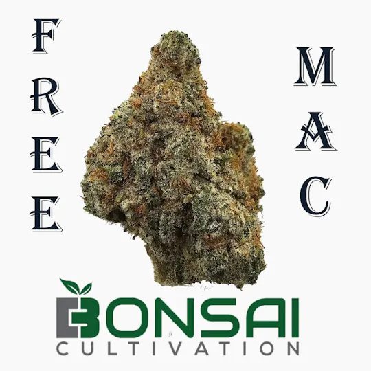 Bonsai Cultivation - Bonsai Cultivation | Free Mac | Flower - 1