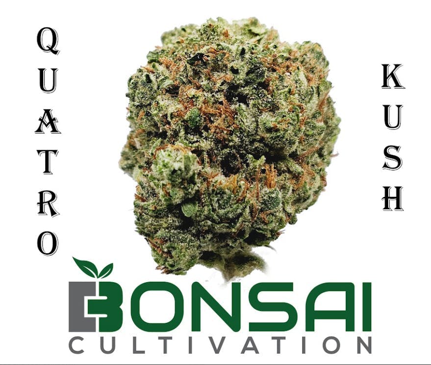 Bonsai Cultivation - Bonsai Cultivation | Quatro Kush | Flower - 1