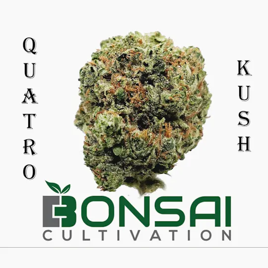 Bonsai Cultivation - Bonsai Cultivation | Quatro Kush | Flower - 1