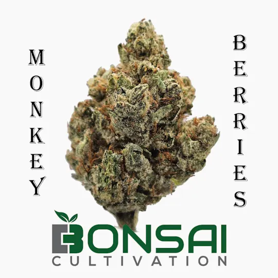 Bonsai Cultivation - Bonsai Cultivation | Monkey Berries | Flower - 1