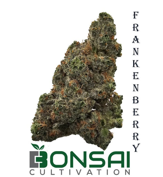 Bonsai Cultivation - Bonsai Cultivation | Frankenberry | Flower - 1