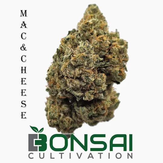 Bonsai Cultivation - Bonsai Cultivation | Mac & Cheese | Flower - 1