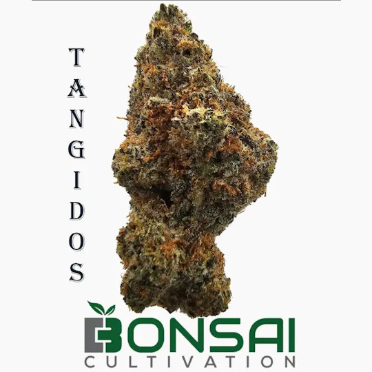 Bonsai Cultivation - Bonsai Cultivation | Tangidos | Flower - 1