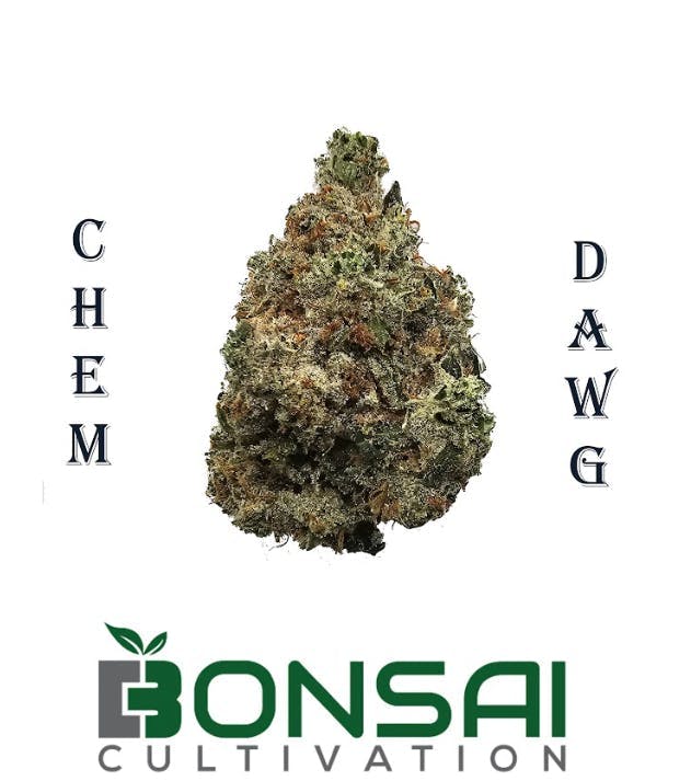 Bonsai Cultivation - Bonsai Cultivation | Chem Dawg | Flower - 1