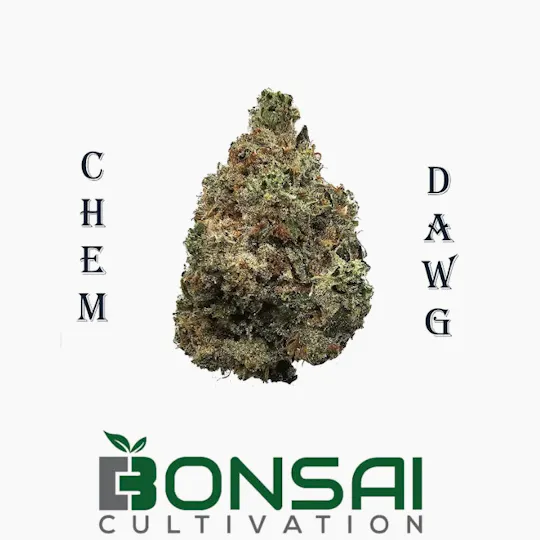 Bonsai Cultivation - Bonsai Cultivation | Chem Dawg | Flower - 1