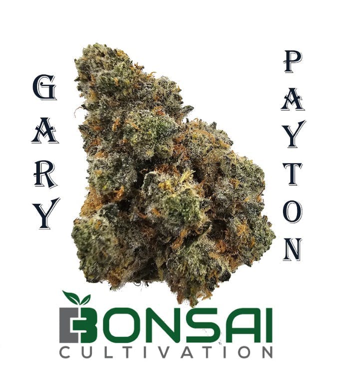 Bonsai Cultivation - Bonsai Cultivation | Gary Payton | Flower - 1