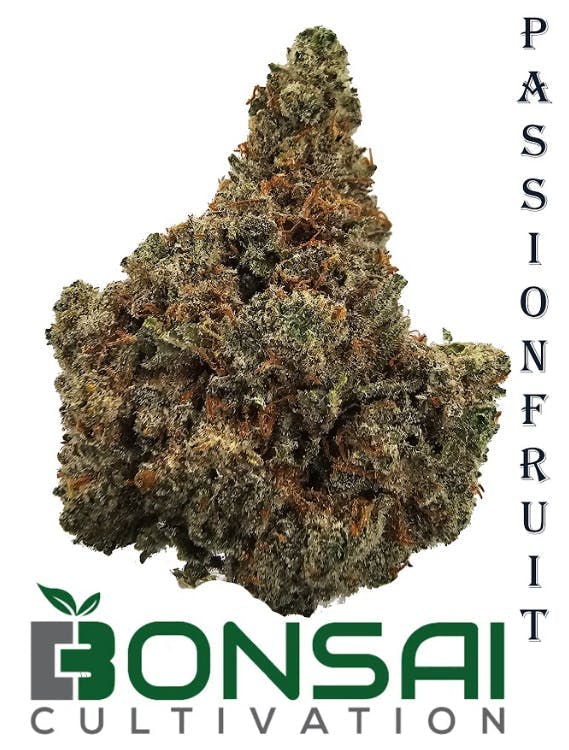 Bonsai Cultivation - Bonsai Cultivation | Passionfruit | Flower - 1