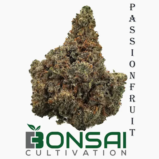 Bonsai Cultivation - Bonsai Cultivation | Passionfruit | Flower - 1
