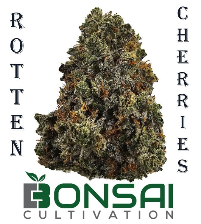 Bonsai Cultivation - Bonsai Cultivation | Rotten Cherries | Flower - 1