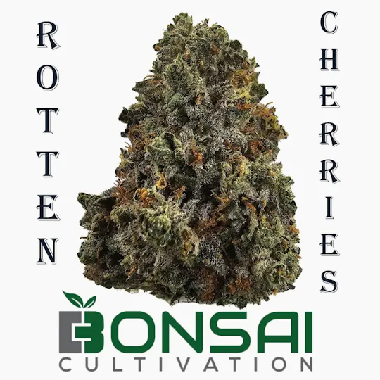 Bonsai Cultivation - Bonsai Cultivation | Rotten Cherries | Flower - 1