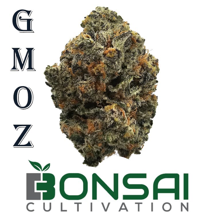 Bonsai Cultivation - Bonsai Cultivation | GMOz | Flower - 1