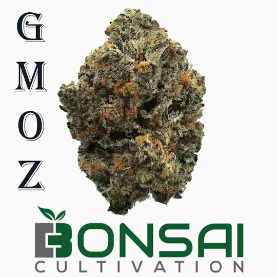 Bonsai Cultivation - Bonsai Cultivation | GMOz | Flower - 1