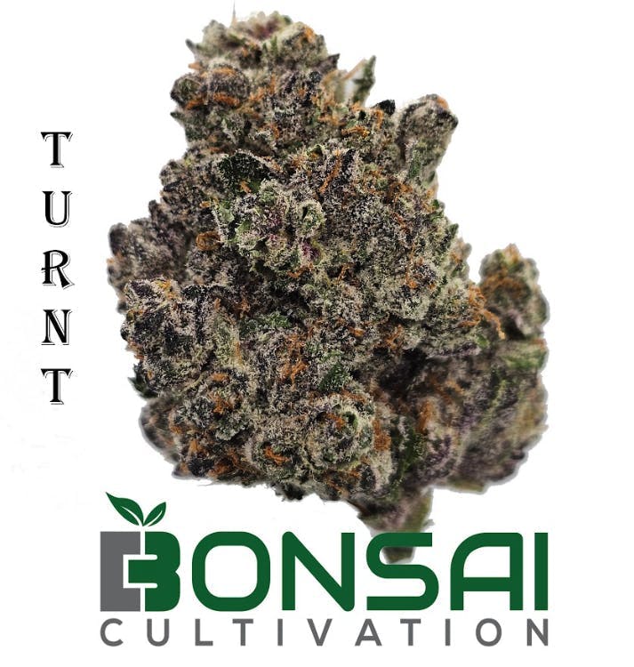Bonsai Cultivation - Bonsai Cultivation | Turnt | Flower - 1