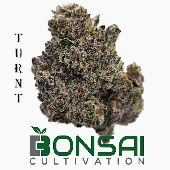 Bonsai Cultivation - Bonsai Cultivation | Turnt | Flower - 1