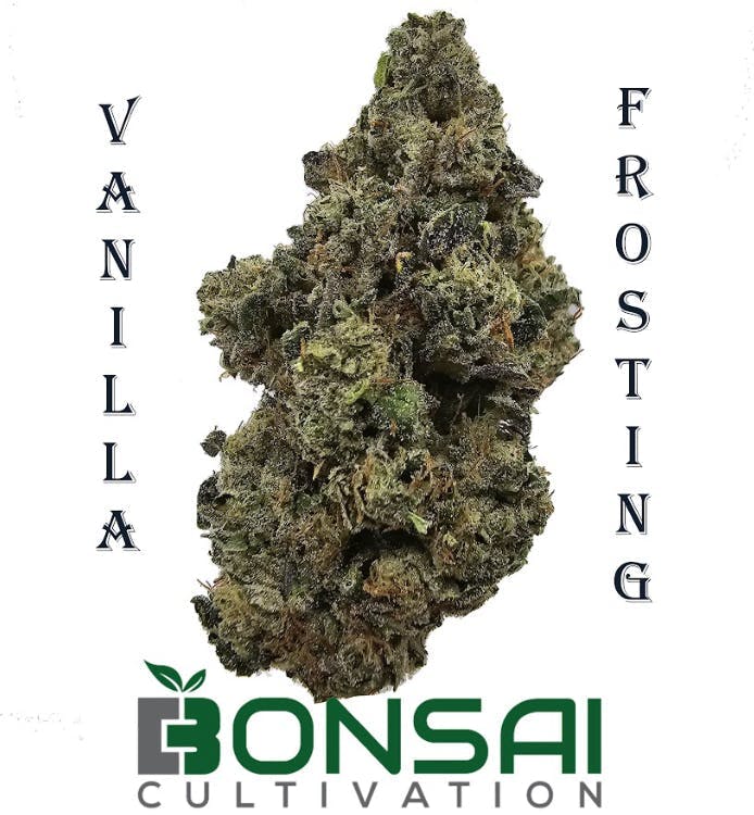 Bonsai Cultivation - Bonsai Cultivation | Vanilla Frosting | Flower - 1