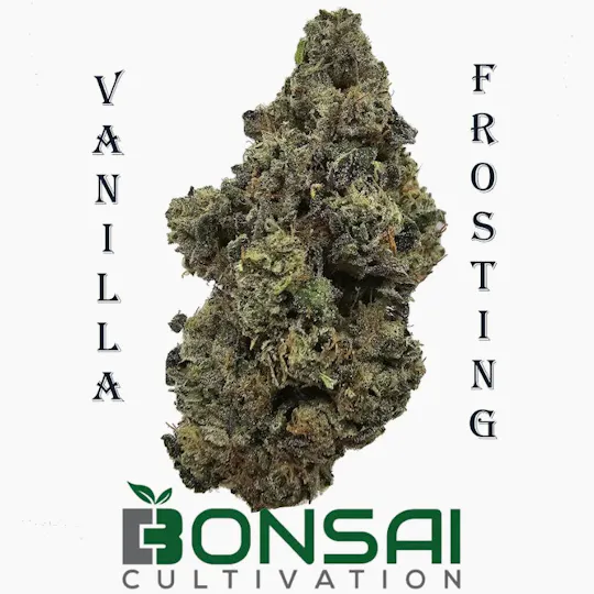 Bonsai Cultivation - Bonsai Cultivation | Vanilla Frosting | Flower - 1