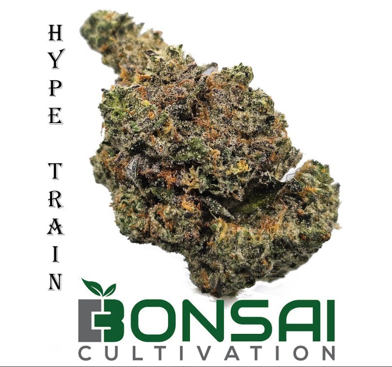 Bonsai Cultivation - Bonsai Cultivation | Hype Train | Flower - 1