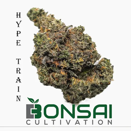 Bonsai Cultivation - Bonsai Cultivation | Hype Train | Flower - 1