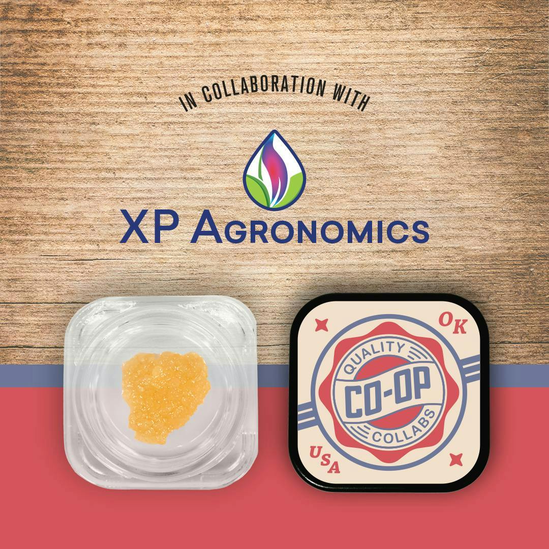 Co-op Collabs - CO-OP x XP Agronomics | Lemon Meringue | Sugar | 2g - 1